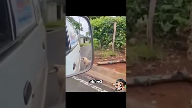 90cd689a1da16b460d31e81ae69ae2f3