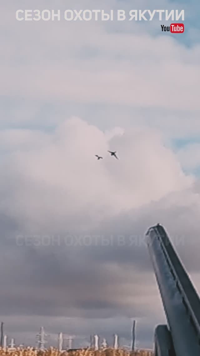 Ходовая охота на утку - осень 2024 ч3