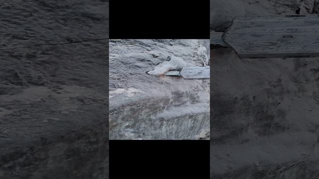 6b2ca845675806703423a8935ebf29c1