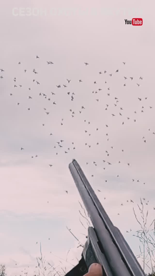 Ходовая охота на утку - осень 2024 ч2