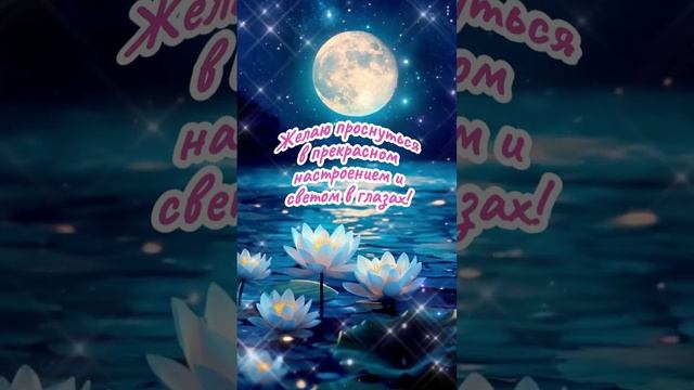 Спокойной ночи!