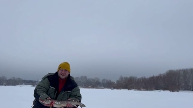 7517de837fbf59f479c41034088ee086