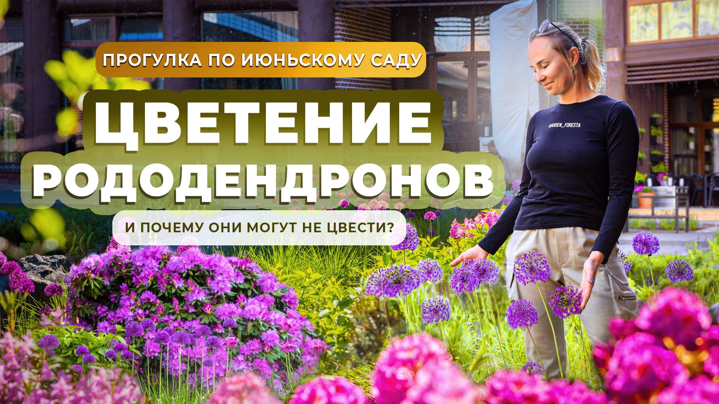 Цветение рододендронов и почему они могут не цвести?