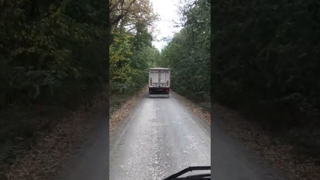 Semiremorca Schmitz Prin Pădure