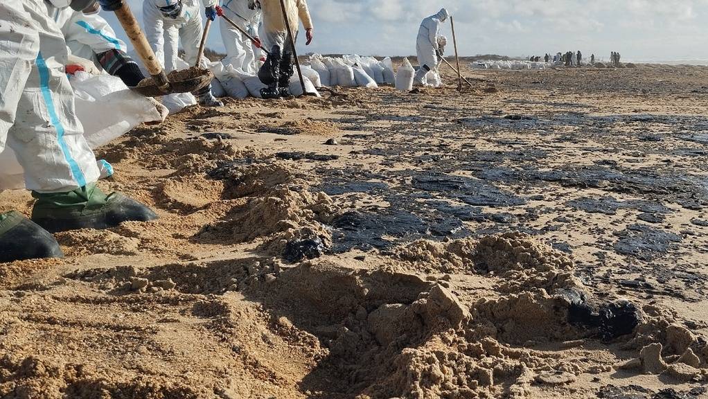 Помощь на Черном море. Дина Хитрова 14 января 2025