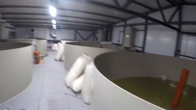 УЗВ в Гатчинском р-не Часть вторая.