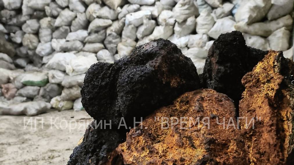 00a56b0977dd2714ed8c5456c770f18b