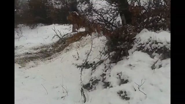 Поездочка удалась!