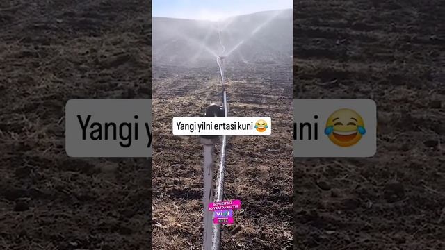 Yangi Yil Ertasi Kuni