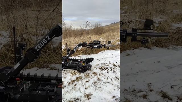 21d5aa1f73ba50afcb583257f9eb8089