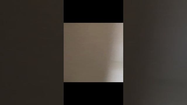 Квартира на Мускатной