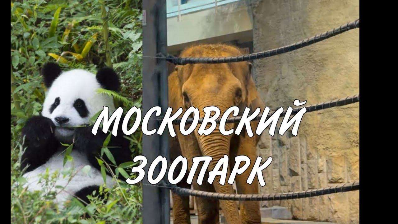 МОСКОВСКИЙ ЗООПАРК