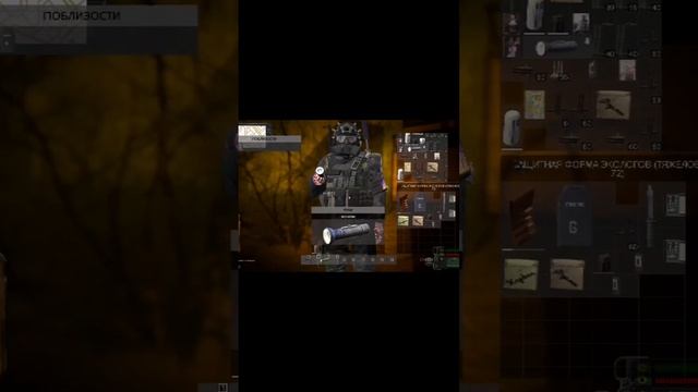 нашёл 9 плиту в Dayz Stalker Rp