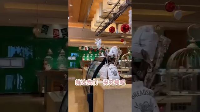 Our Products Are Mainly Robot Noodles, Robot Ice Cream, Robot Coffee, Etc.,