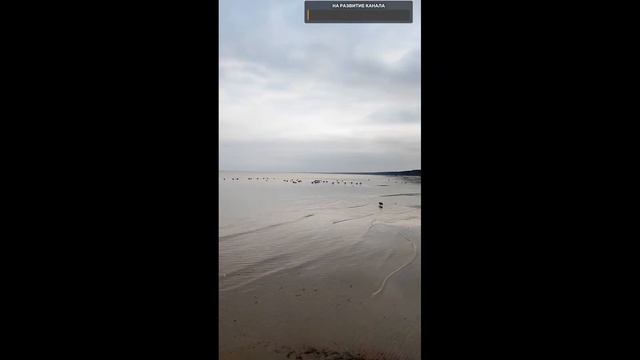 Есть вопросы