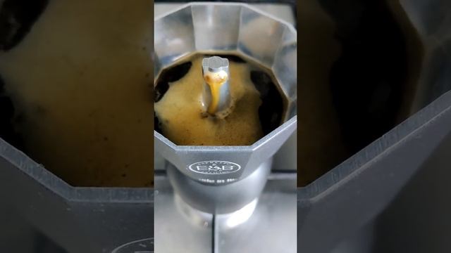 Dailycious Coffee Brewing Miscela Top Day #12