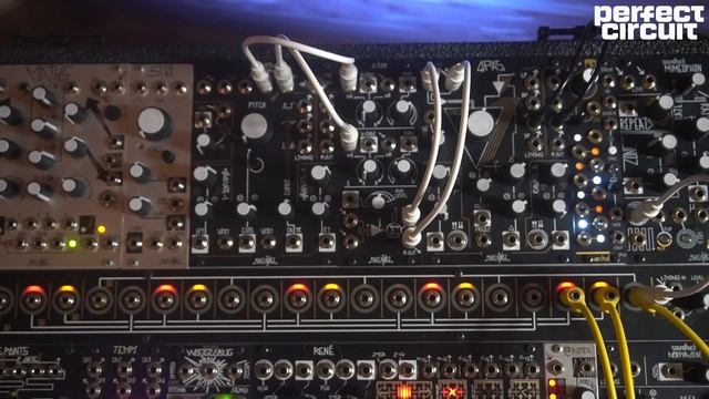 Make an Entire Track with Just ONE Module?! Make Noise XPO  redstripedownofficial