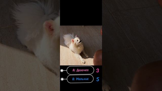 Компания Изотеп