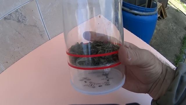 Дикий ужас на пасеке. Варроа тестер СО2.