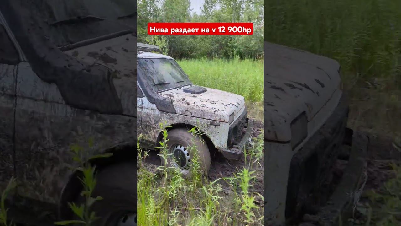 F266c9aafde0580f68602c73dedb5c59