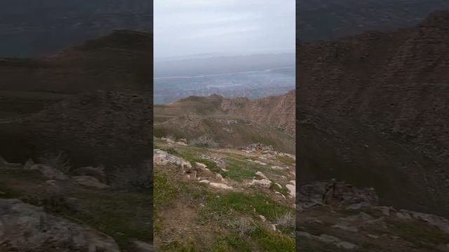 7 марта 2022 г.