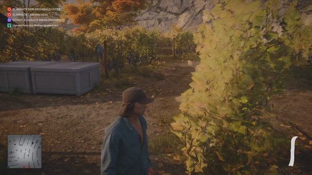 HITMAN 3 PS5 (Harvest Three Malbec Grapevines)