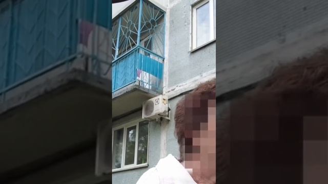 Егор Бабушкин Subaru_Trip