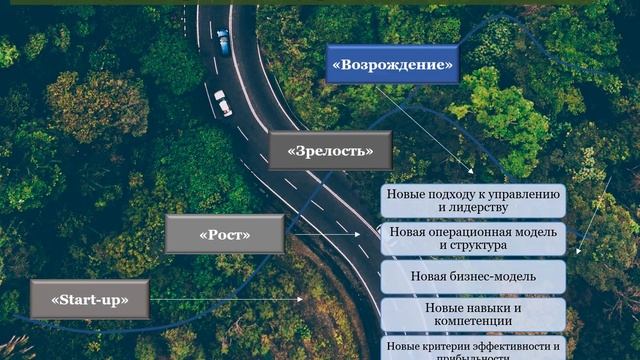 Профессионализация управления собственники бизнеса