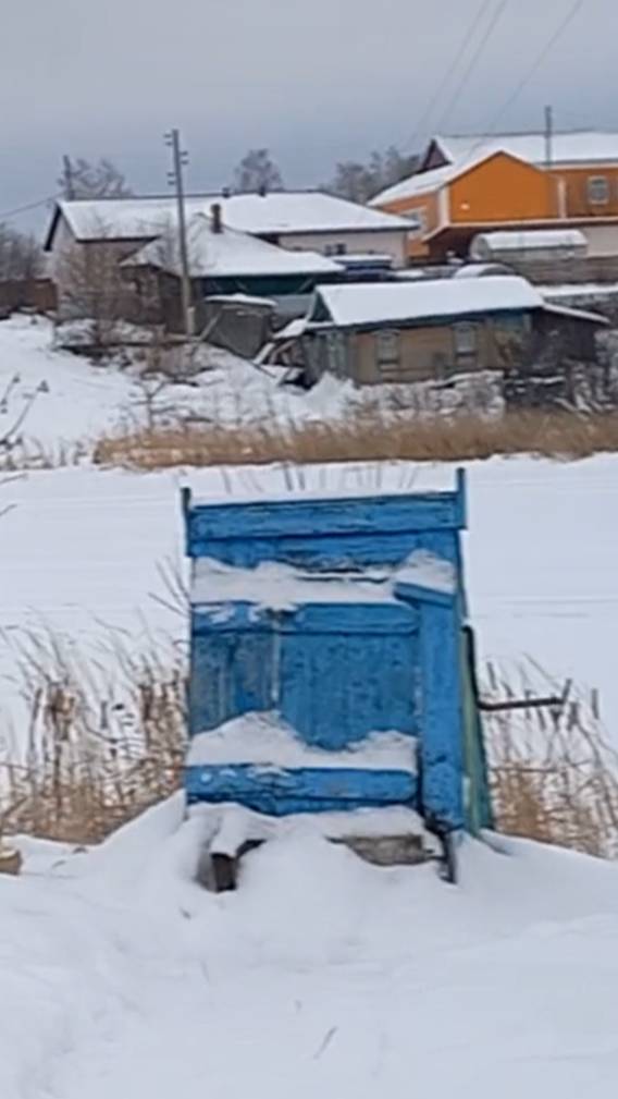 Прогулялся с собаками