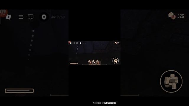 Ламповый кот