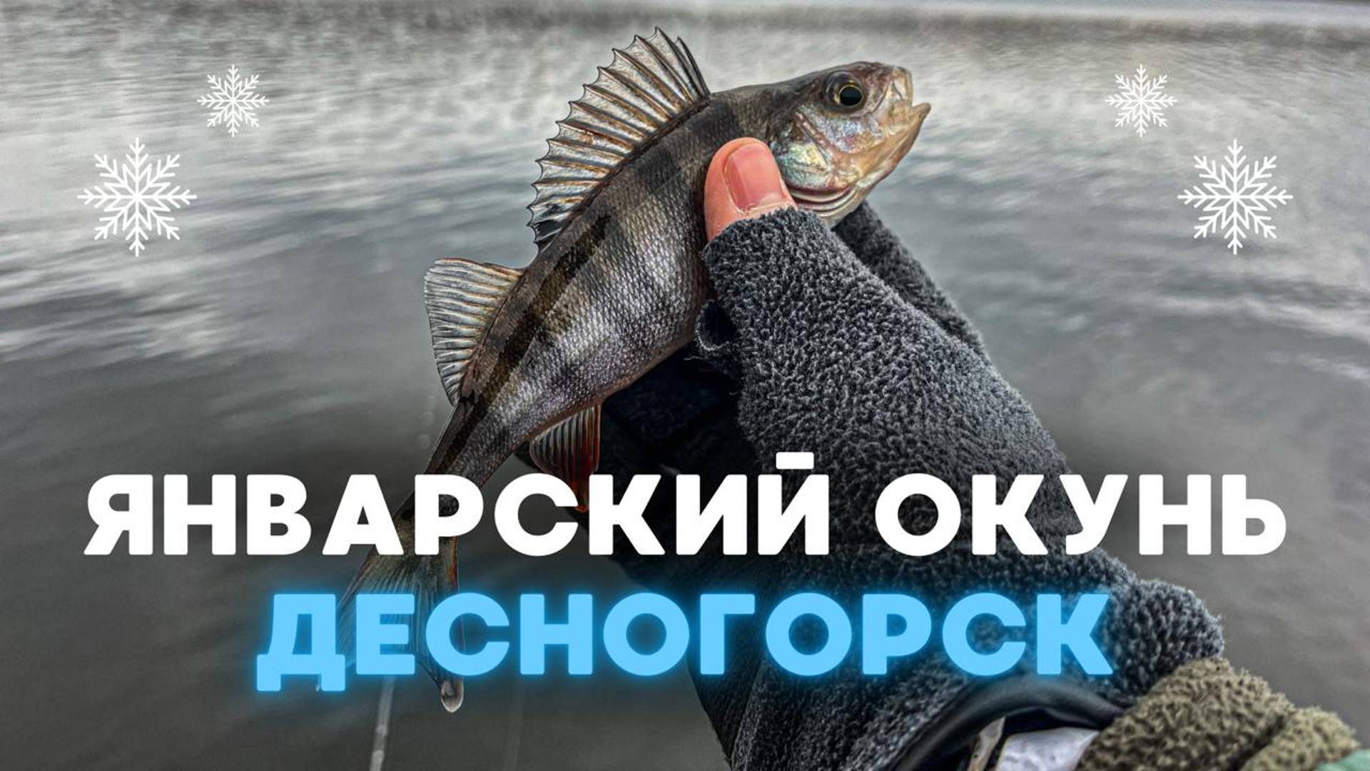 Микроджиг Десногорск: В поиске окуня