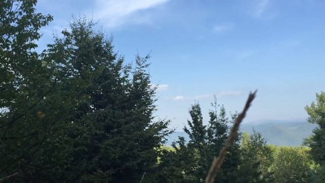 774385177027c07c4b2ab463dbedd24b