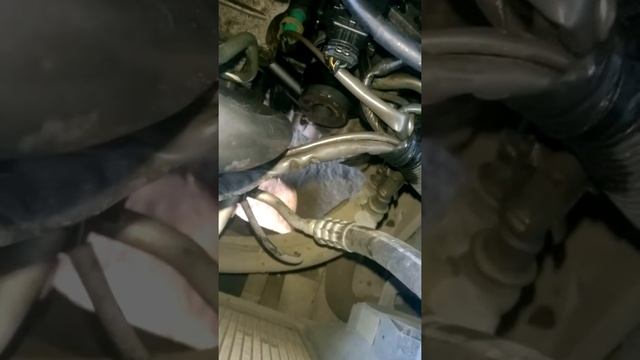 822c3eb7e4ce1748169b3fe55206d656