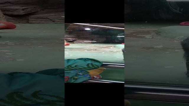 VID_20180703_114658