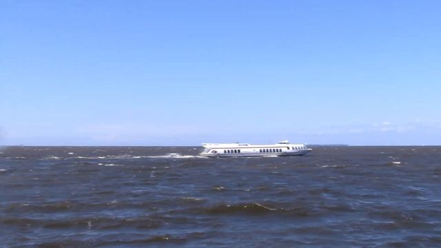 Петербург Canon PowerShot SX50 HS, 60FPS -дорисовка кадров в SVP Player