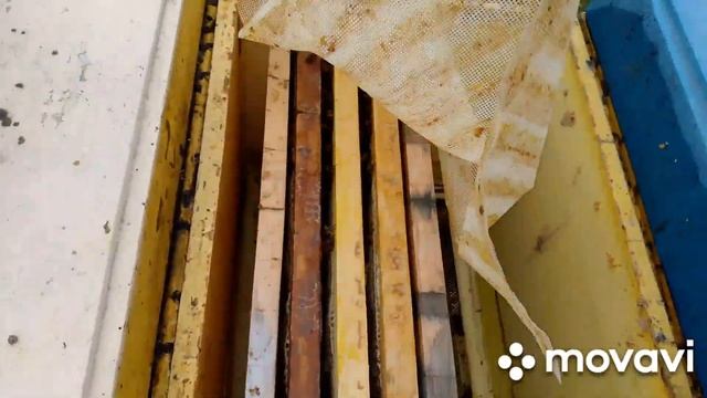 Cdb6e8b050aed50099f4b285a77dd80e