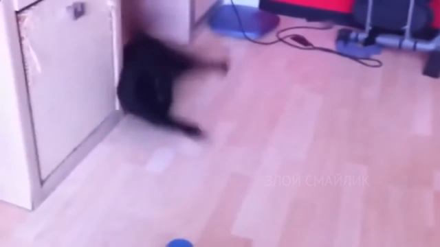 ПРИКОЛЫ 2019 Май #17 ржака до слез угар прикол ПРИКОЛЮХА