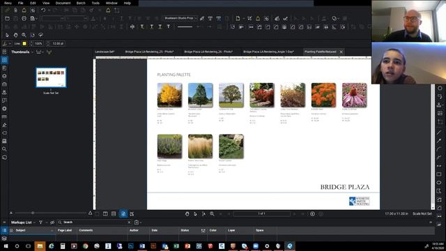 Bridge Plaza Series With Chloe Aanenson: Episode 3 - Landscape Design