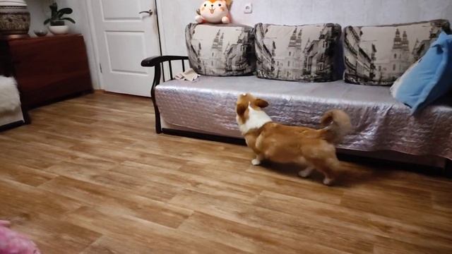 C519e82564e52cf1cd6cc4a9e8656b72