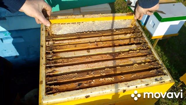 E8f13d84dcf9ee9f89c491701ca02116