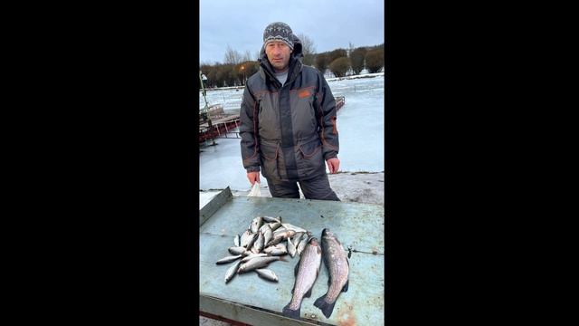 44050f9c868cbe13315b538f85b9653c