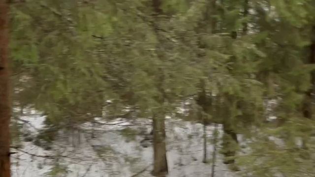 Январский Коп