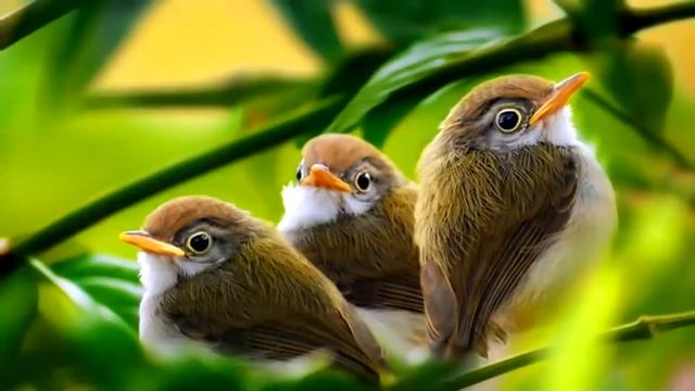 маленькие исследователи 2