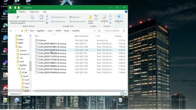 Востановление игры SCUM