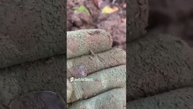 Великие правители прошлого