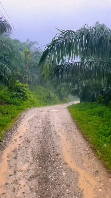 Сезон дождей в Пхукете
