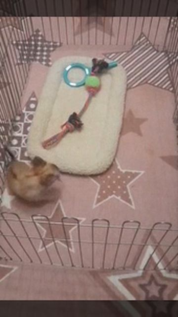 20241218-105813_H0ymvMCI