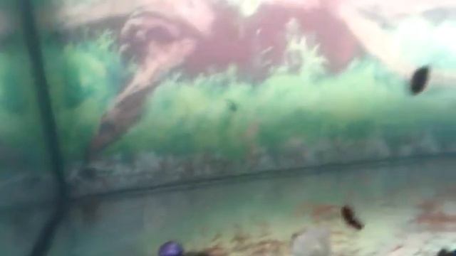 09011eb122529fe54ab21269fbaa91a8