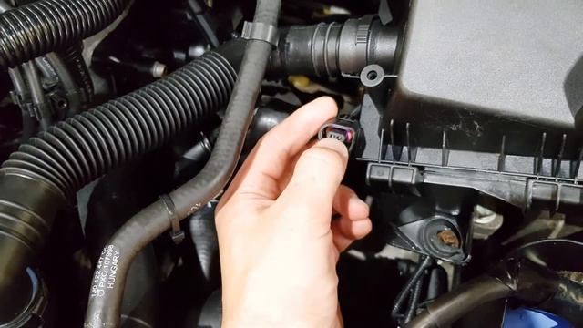 Дима Человек