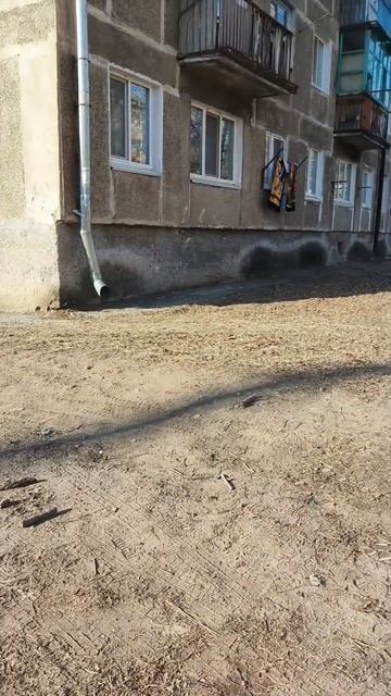 Ef3b6bb87448a77cc231bdfa86e851c1